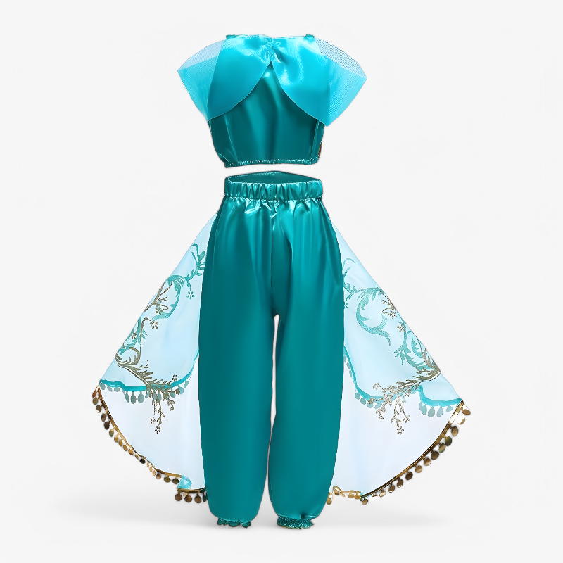 Enchanting Princess Outfit for Girls – Includes Golden Details and Tulle